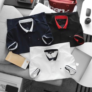 Mẫu áo cổ bẻ chất pique cotton 2c mềm mịn nam.