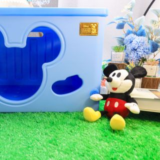 Nhà ở cho thú cưng - Mickey