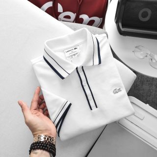 Mẫu áo thun polo nam. Chất vải xuất dư.