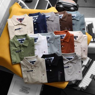 Polo - TM nam. Vải cá sấu lục giác % cotton nam.