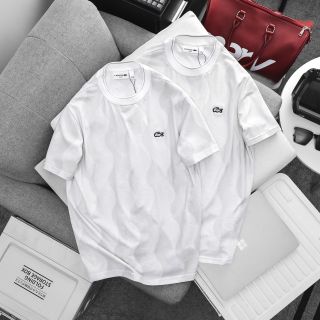 T shirt nam. Chất  Cotton 100% 4c.  Dày Mịn mát. Chất in mềm caoo cấp.