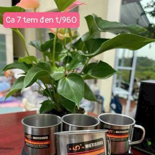 Cốc / Ca Inox 7 Tem Đen (THÙNG 960C )