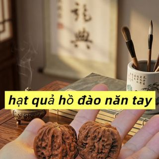 Hạt quả hồ đào năn tay mát xa thư giãn