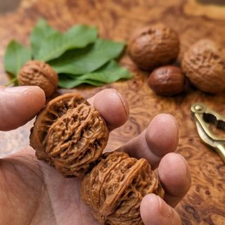 Hạt quả hồ đào năn tay mát xa thư giãn