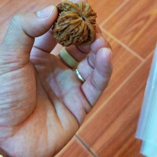 Hạt quả hồ đào năn tay mát xa thư giãn