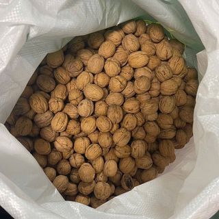 QUẢ ÓC CHÓ VÀNG CHILE