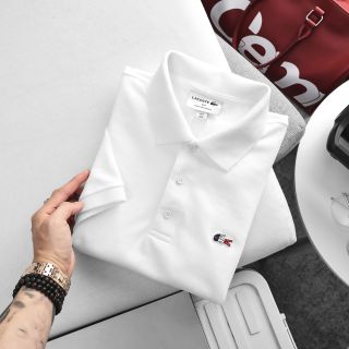 Áo thun POLO NAM BASIC . Chất vải xuất dư.