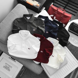 Áo thun POLO NAM BASIC . Chất vải xuất dư.