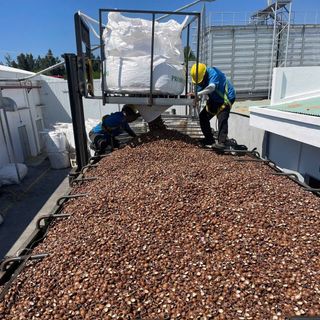 Vỏ Macca Nguyên Liệu Sản Xuất Than Hoạt Tính – Bán Sỉ Số Lượng Lớn Toàn Quốc