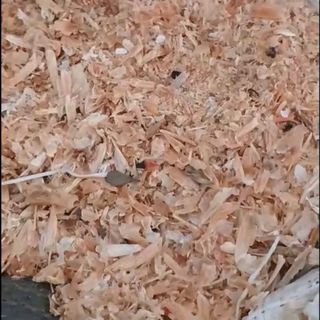 Bột Vỏ Đầu Tôm Số Lượng Lớn Làm Nguyên Liệu Thức Ăn Chăn Nuôi & Chiết Xuất Chitin
