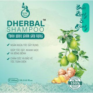 [ CHÍNH HÃNG ] DẦU GỘI THẢO DƯỢC DHERBAL GIẢM GÃY RỤNG, KÍCH THÍCH MỌC TÓC