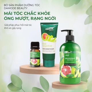 Combo Dầu Gội Bưởi Damode - Grapefruit Shampo [Chính Hãng]