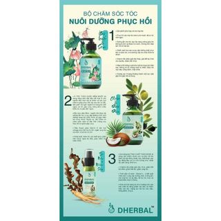 COMBO CHĂM SÓC TÓC CHẮC KHỎE VÀ SUÔN MƯỢT THẢO MỘC DHERBAL - Dhouseluxury