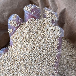 DIÊM MẠCH TRẮNG PERU