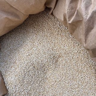 DIÊM MẠCH TRẮNG PERU