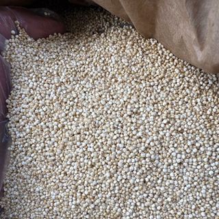 DIÊM MẠCH TRẮNG PERU