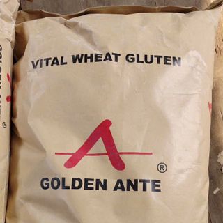 GLUTEN – ĐẠM LÚA MÌ