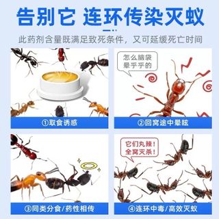 COMBO 3 HỘP 24 VIÊN ĐUỔI THẰN LẰN, THẠCH SÙNG, TẮC KÈ, KIẾN, GIÁN SIÊU MẠNH JAPAN - Hộp 8 Viên Lượng Anh