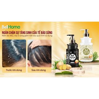 Dầu Gội, Dầu Xả Thảo Dược BellHome 500ml - Giảm Ngứa, Sạch Gàu, Tóc Bóng Mượt