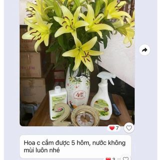 Nước dưỡng hoa Bellhome 500ml - Giữ hoa tươi lâu Duy trì màu sắc Phù hợp mọi loại hoa