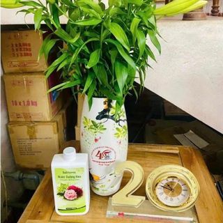 Nước dưỡng hoa Bellhome 500ml - Giữ hoa tươi lâu Duy trì màu sắc Phù hợp mọi loại hoa