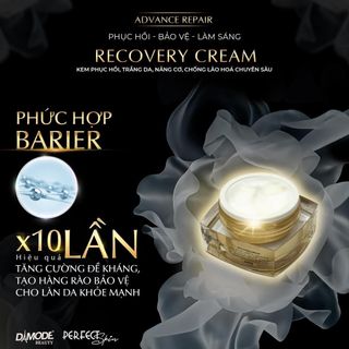 Kem Recovery Cream Damode - phục hồi, nâng cơ, trắng da, chống lão hoá