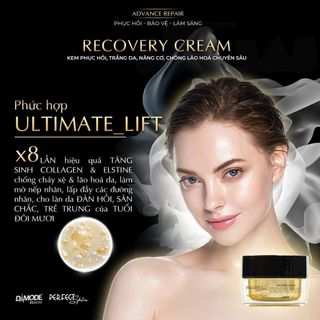 Kem Recovery Cream Damode - phục hồi, nâng cơ, trắng da, chống lão hoá
