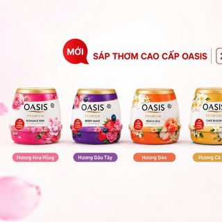 SÁP THƠM PHÒNG OASIS PREMIUM 200g (T24)