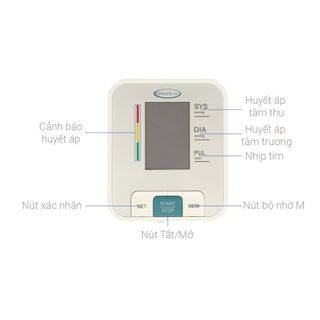 Máy đo huyết áp bắp tay Gluck Care B56