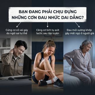 MÁY MASSAGE CẦM TAY NEXPRO 4 ĐẦU MASSAGE