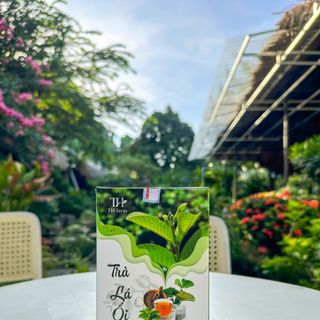 Tuyển Nhà Phân Phối, Đại Lý, CTV Toàn Quốc Trà Thảo Mộc TH Farm - Chiết Khấu Cao, Hỗ Trợ Đơn Đầu Chỉ Từ 5 Hộp
