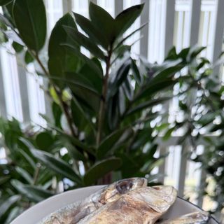 MẮM CÁ BẠC MÁ BÌNH ĐỊNH (nguyên con) - 1KG
