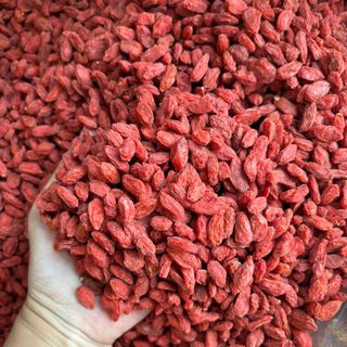 Kỷ Tử Mộc Đại Loại 1 AAA Giá Sỉ – Kỷ Tử Đỏ Hạt To – Hàng Khô Nguyên Liệu-Thùng/20kg