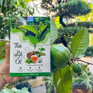 Trà Lá Ổi TH Farm Hỗ Trợ Giảm Cân, Ổn Định Đường Huyết - Hộp 30 Túi Lọc Nguyên Chất