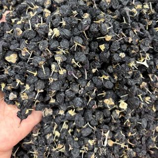 HẮC KỶ TỬ SIZE ĐẠI LOẠI 1 – GIÁ SỈ