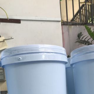 Đường mach nha