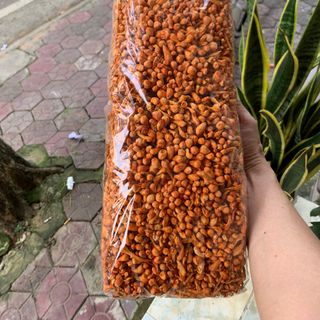 Đông Trùng Khô Loại 1 VIP – Hàng Đẹp