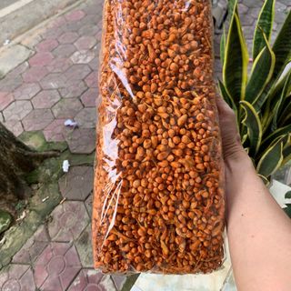 Đông Trùng Khô Loại 1 VIP – Hàng Đẹp