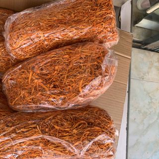 ĐÔNG TRÙNG HẠ THẢO XẾP DỌC – HÀNG SỈ