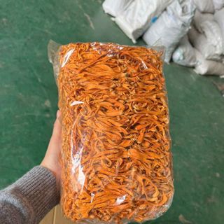 ĐÔNG TRÙNG HẠ THẢO XẾP NGANG – HÀNG SỈ