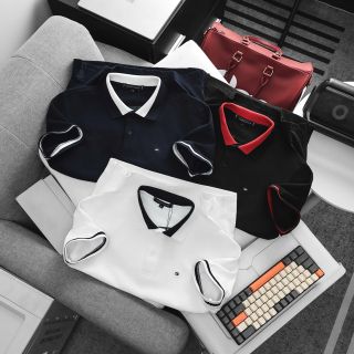 Mẫu áo cổ bẻ chất pique cotton 2c mềm mịn, phối bo tinh tế.