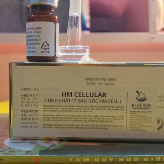 Tế bào gốc IDenel