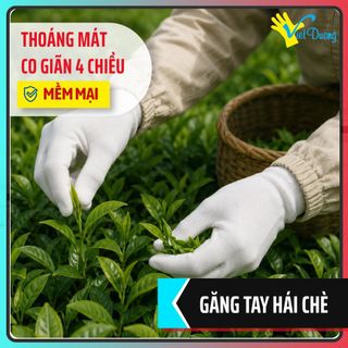 10 Đôi Găng Tay Hái Chè Vải Thun Co Giãn Mềm Mịn