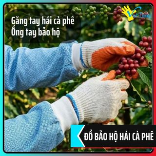 Combo Bảo Hộ Hái Cà Phê Chuyên Dụng - Găng Tay Chống Gai & Ống Tay Chống Đâm Xuyên - GDC10KIMONGTAYCN