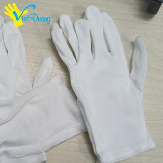 10 Đôi Găng Tay Nghi Thức Vải PE Trắng VIỆT DƯƠNG Co Giãn, Thoáng Khí, Êm Tay - GVPE