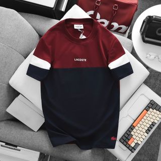 Mẫu áo thun cotton 4c mấy phối trẻ trung, logo chữ in cao + cá sấu.