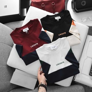 Mẫu áo thun cotton 4c mấy phối trẻ trung, logo chữ in cao + cá sấu.