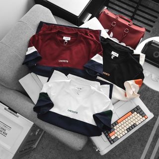 Mẫu áo thun cotton 4c mấy phối trẻ trung, logo chữ in cao + cá sấu.