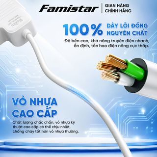Ổ cắm điện FAMISTAR đa năng tích hợp cổng usb type C tiện lợi bền bỉ và chống giật an toàn, giá sỉ tốt, phân phối toàn quốc