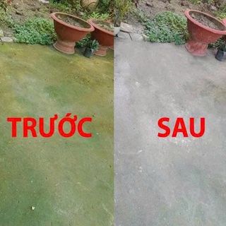 BỘT TẨY RONG RÊU TRÊN SÀN XI MĂNG (T100)